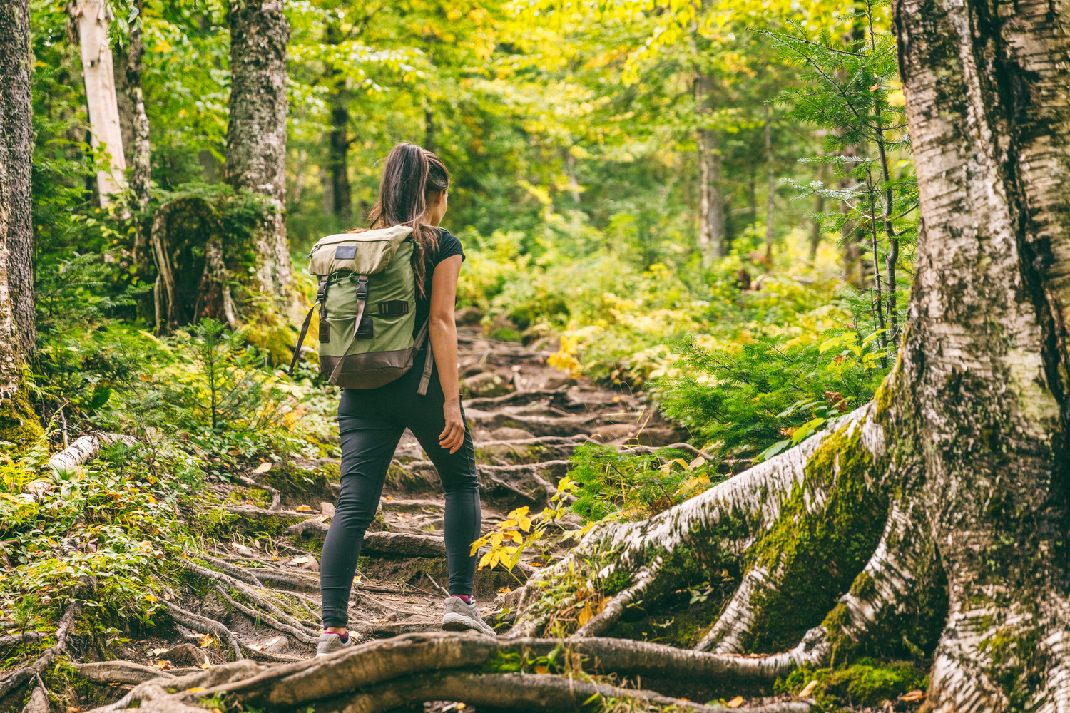 Woman with Backpack Hiking in a Forest